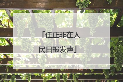 任正非在人民日报发声