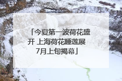 今夏第一波荷花盛开 上海荷花睡莲展7月上旬揭幕