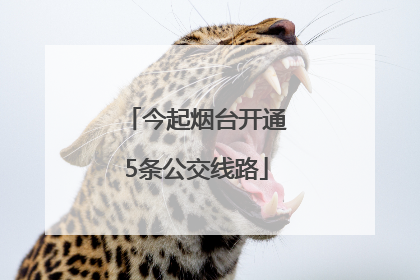 今起烟台开通5条公交线路