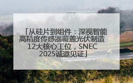从硅片到组件：深视智能高精度传感器覆盖光伏制造12大核心工位，SNEC 2025诚邀见证