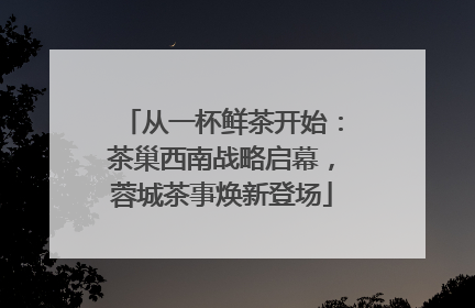 从一杯鲜茶开始：茶巢西南战略启幕，蓉城茶事焕新登场