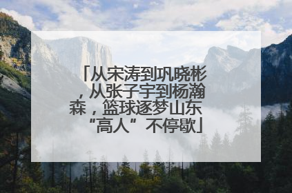 从宋涛到巩晓彬，从张子宇到杨瀚森，篮球逐梦山东“高人”不停歇