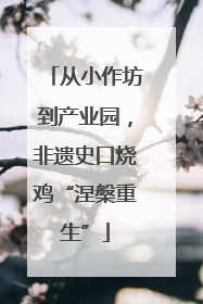 从小作坊到产业园，非遗史口烧鸡“涅槃重生”