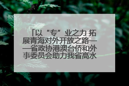 以“专”业之力 拓展青海对外开放之路——省政协港澳台侨和外事委员会助力我省高水平开放和高质量发展