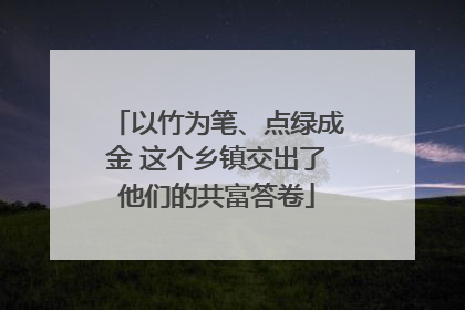 以竹为笔、点绿成金 这个乡镇交出了他们的共富答卷