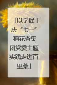 以学促干庆“七一” 稻花香集团党委主题实践走进百里荒
