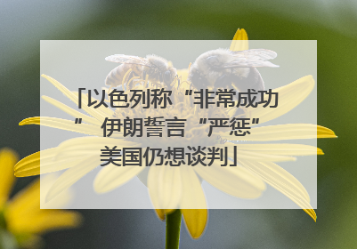 以色列称“非常成功” 伊朗誓言“严惩” 美国仍想谈判