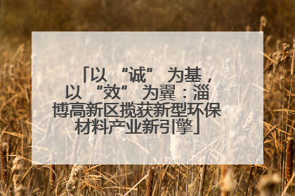 以 “诚” 为基，以 “效” 为翼：淄博高新区揽获新型环保材料产业新引擎