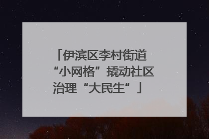 伊滨区李村街道 “小网格”撬动社区治理“大民生”
