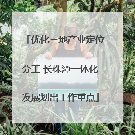 优化三地产业定位分工 长株潭一体化发展划出工作重点
