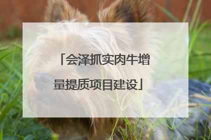 会泽抓实肉牛增量提质项目建设