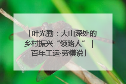 叶光勤：大山深处的乡村振兴“领路人”｜百年工运·劳模说
