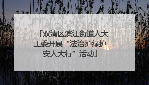双清区滨江街道人大工委开展“法治护绿护安人大行”活动