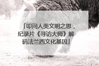 叩问人类文明之思，纪录片《寻访大师》解码法兰西文化基因