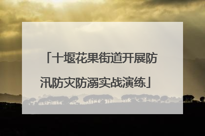 十堰花果街道开展防汛防灾防溺实战演练