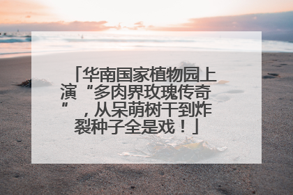 华南国家植物园上演“多肉界玫瑰传奇”，从呆萌树干到炸裂种子全是戏！