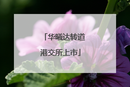 华曦达转道港交所上市