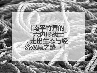南平竹界的 “六边形战士”，走出生态与经济双赢之路→