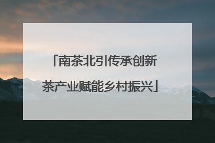 南茶北引传承创新 茶产业赋能乡村振兴