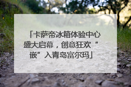 卡萨帝冰箱体验中心盛大启幕，创意狂欢“嵌”入青岛富尔玛