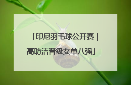 印尼羽毛球公开赛｜高昉洁晋级女单八强