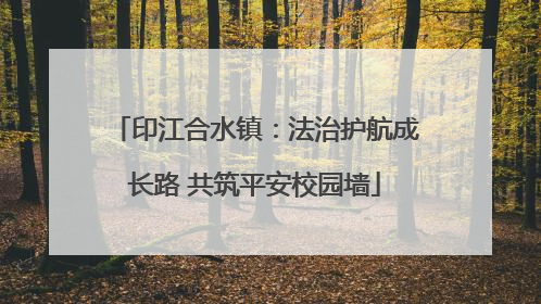 印江合水镇：法治护航成长路 共筑平安校园墙