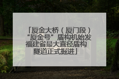 厦金大桥（厦门段）“厦金号”盾构机始发 福建省最大直径盾构隧道正式掘进