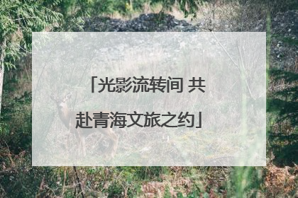 光影流转间 共赴青海文旅之约