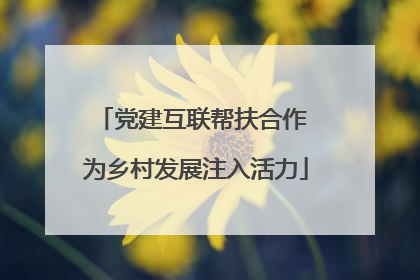 党建互联帮扶合作 为乡村发展注入活力
