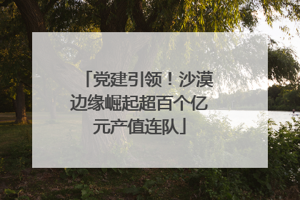 党建引领！沙漠边缘崛起超百个亿元产值连队