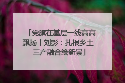 党旗在基层一线高高飘扬丨刘影：扎根乡土 三产融合绘新景
