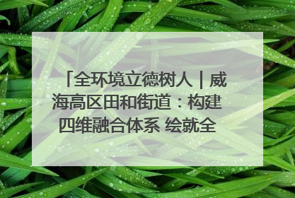 全环境立德树人｜威海高区田和街道：构建四维融合体系 绘就全环境立德树人新画卷