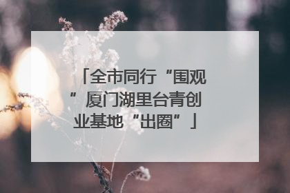 全市同行“围观”厦门湖里台青创业基地“出圈”