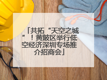 共拓“天空之城”！黄陂区举行低空经济深圳专场推介招商会