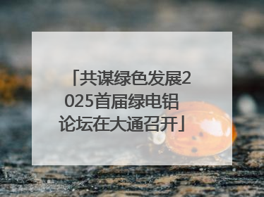 共谋绿色发展2025首届绿电铝论坛在大通召开