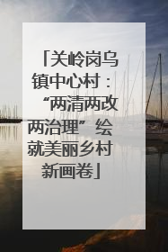 关岭岗乌镇中心村：“两清两改两治理”绘就美丽乡村新画卷