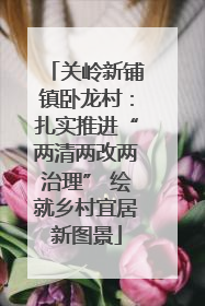 关岭新铺镇卧龙村：扎实推进“两清两改两治理” 绘就乡村宜居新图景
