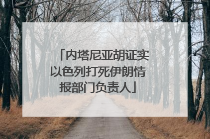 内塔尼亚胡证实以色列打死伊朗情报部门负责人