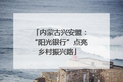 内蒙古兴安盟：“阳光银行”点亮乡村振兴路