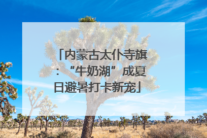 内蒙古太仆寺旗：“牛奶湖”成夏日避暑打卡新宠
