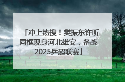 冲上热搜！樊振东许昕同框现身河北雄安，备战2025乒超联赛