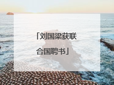 刘国梁获联合国聘书