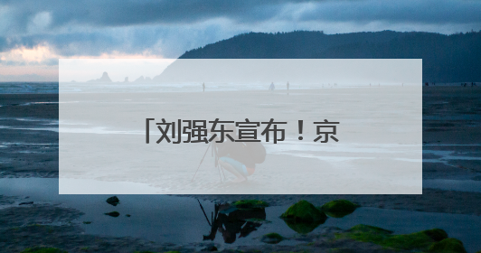 刘强东宣布！京东将推出稳定币