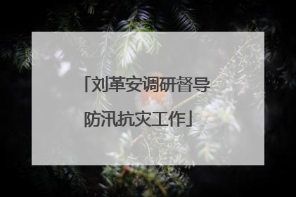刘革安调研督导防汛抗灾工作