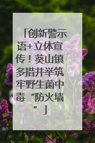 创新警示语+立体宣传！葵山镇多措并举筑牢野生菌中毒“防火墙”