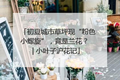 初夏城市草坪现“粉色小螺旋”，竟是兰花？ | 小叶子沪花记