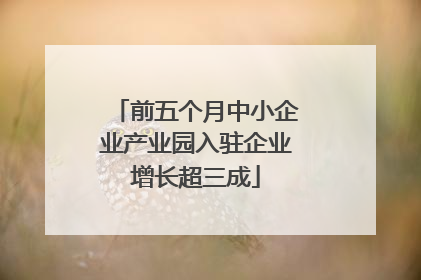 前五个月中小企业产业园入驻企业增长超三成