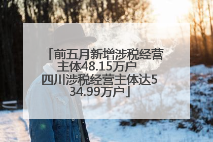 前五月新增涉税经营主体48.15万户 四川涉税经营主体达534.99万户