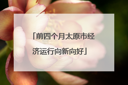 前四个月太原市经济运行向新向好