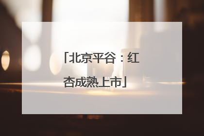 北京平谷：红杏成熟上市